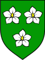 Belica
