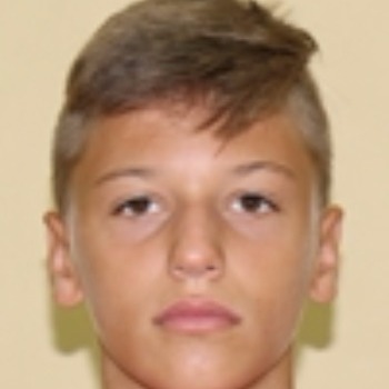 Karlo Čajić 
