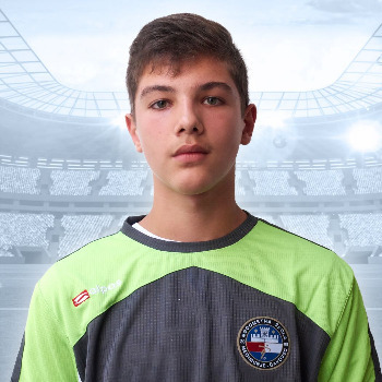 Roko Strnad