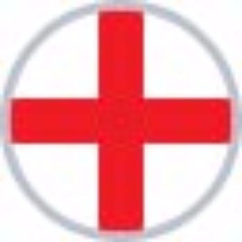 ENGLESKA NOGOMETNA REPREZENTACIJA