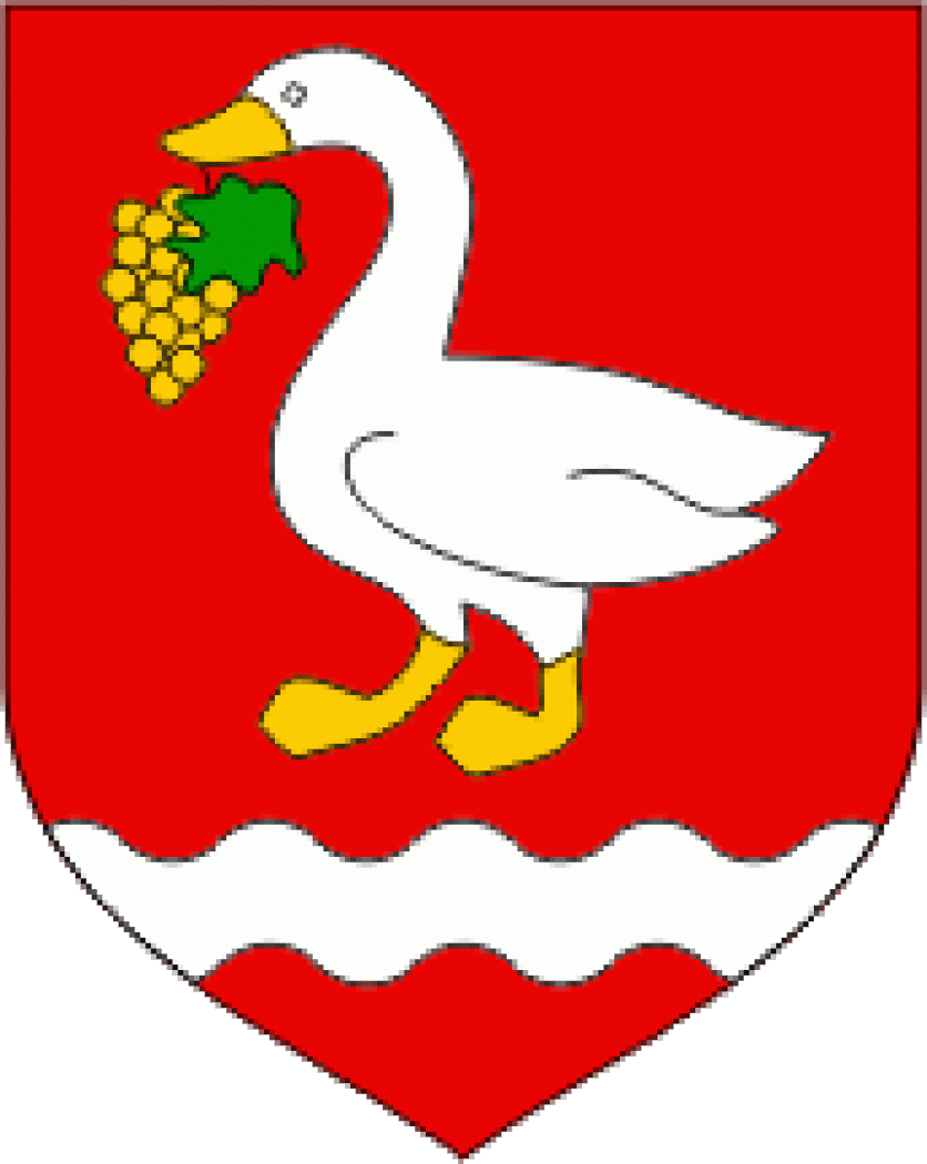 14. PANONSKI MARATON TRIJU DRŽAVA